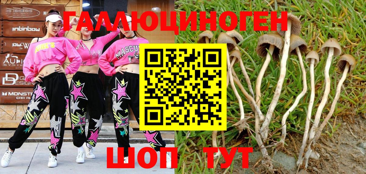 Троицк  Галлюциногенные грибы MAGIC MUSHROOMS  Вход с VPN  Псилоцибиновые грибы MAGIC MUSHROOMS 